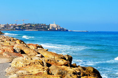 Similar image 13098430