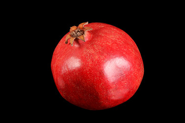 Similar image 13098470