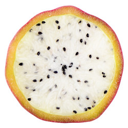 Similar image 13098550