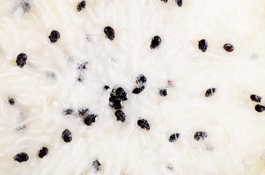 Similar image 13098551