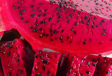 Similar image 13098553