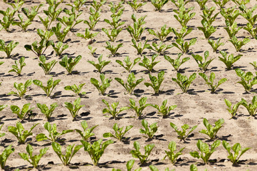 Similar image 13074231