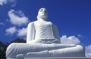 Similar image 13067426