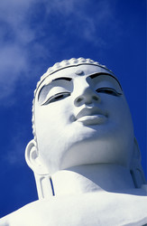 Similar image 13067466