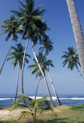 Similar image 13067527