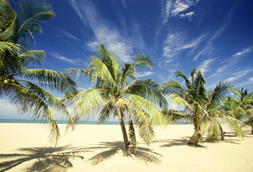 Similar image 13067546