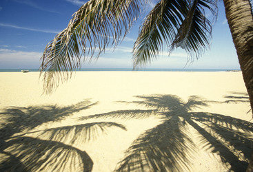 Similar image 13067547