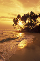 Similar image 13067665