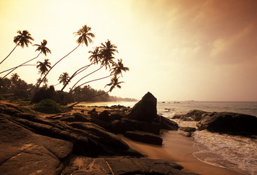 Similar image 13067668