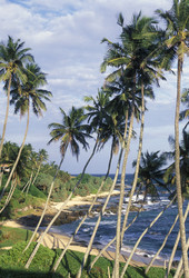 Similar image 13067685