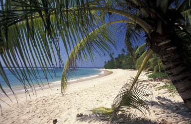 Similar image 13067688