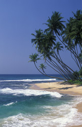 Similar image 13067707