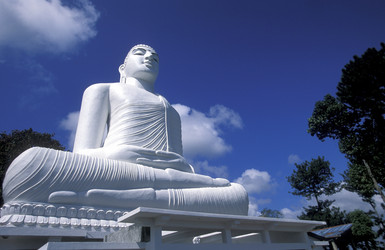 Similar image 13067727