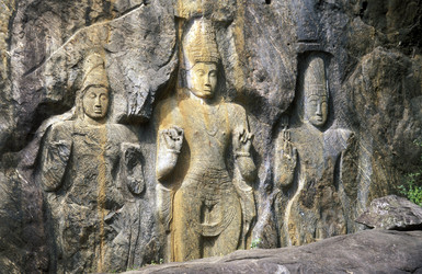 Similar image 13067787