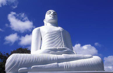 Similar image 13067789