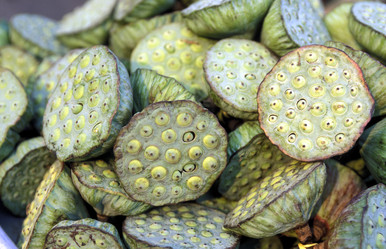 Similar image 13073573