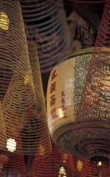 Similar image 13074966