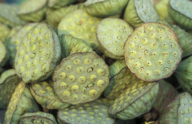 Similar image 13081935