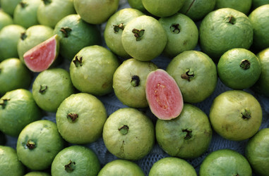 Similar image 13082555