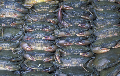 Similar image 13082594