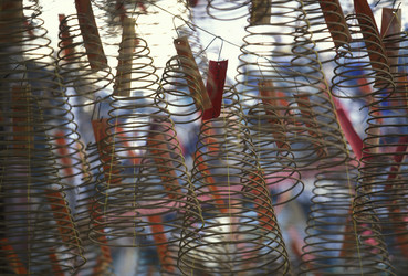 Similar image 13067467