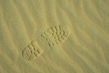 Similar image 13067748