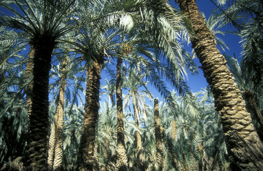 Similar image 13067750