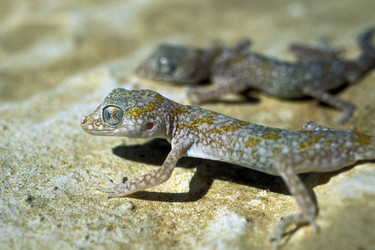 Similar image 13067769