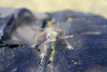 Similar image 13067809