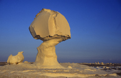 Similar image 13067846