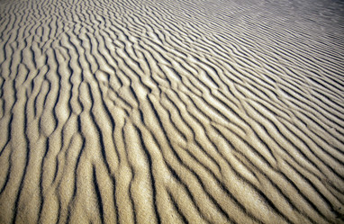 Similar image 13074968