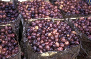 Similar image 13081916