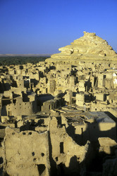 Similar image 13081918