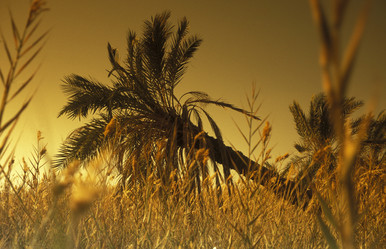 Similar image 13082539