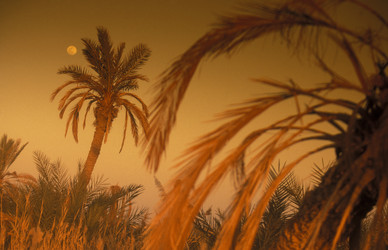 Similar image 13082540