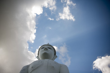 Similar image 13067614