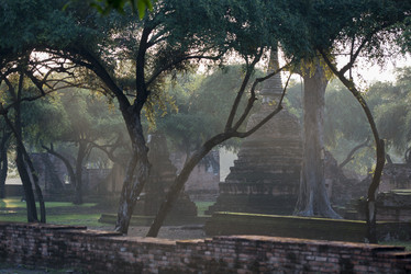 Similar image 13073580