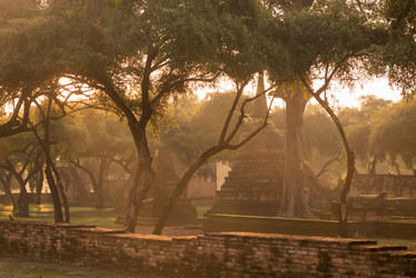 Similar image 13073581