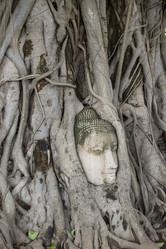 Similar image 13072958