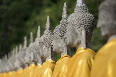 Similar image 13082642