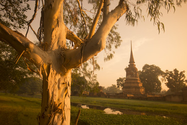 Similar image 13067444