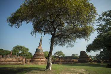 Similar image 13067827