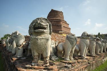 Similar image 13073584