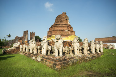 Similar image 13074976