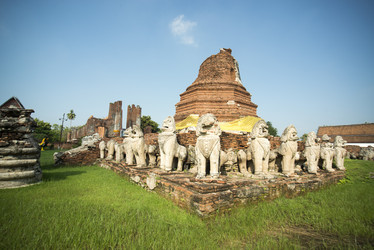 Similar image 13081924