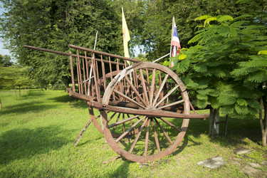 Similar image 13081925