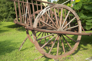 Similar image 13081926