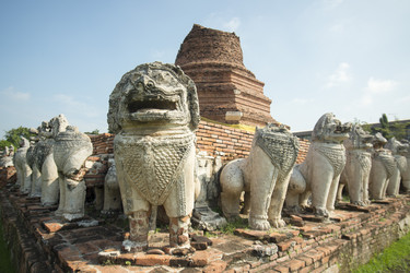 Similar image 13081945