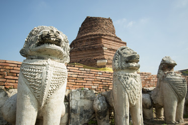 Similar image 13082549