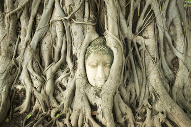 Similar image 13082588